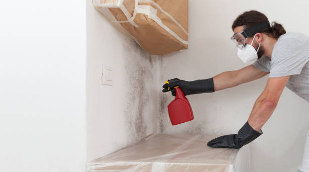 Professional Crawl Space Mold Removal technician working in Rumson, NJ
