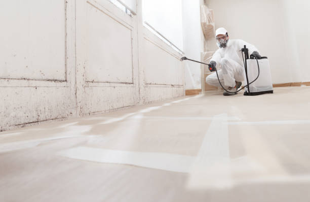 24/7 Emergency Crawl Space Mold Removal experts in Rumson, NJ