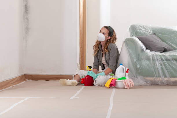 Reliable Mold Cleanup contractor in Rumson, NJ by Cheap Mold Removal